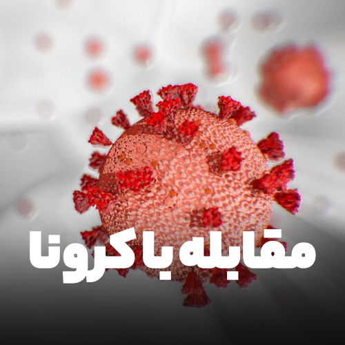 مقابله با ویروس کرونا: چیزهایی که می توانند به تقویت ایمنی بدن کمک کنند